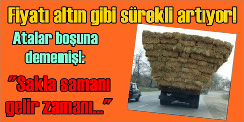 SAMAN ALTIN GİBİ!