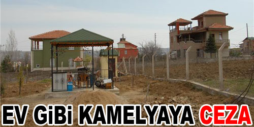 Kamelyada İşi Abarttılar