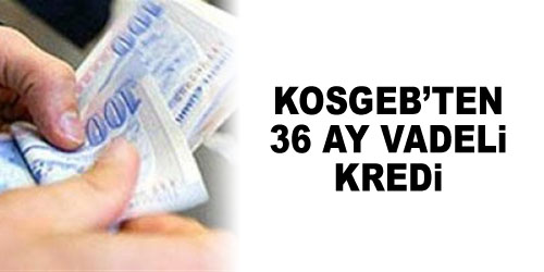 KOSGEB`ten 45 Milyarlık Kredi