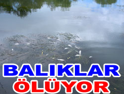 Kızılırmak Alarm Veriyor