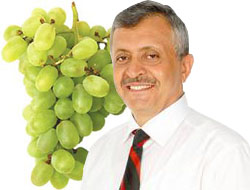 Meclise Üzüm Kıratlı`dan