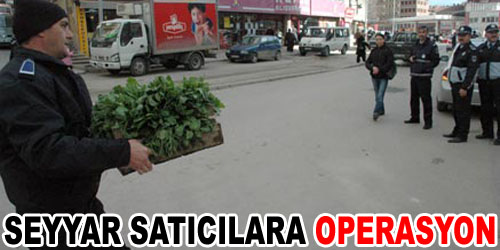 Seyyara Zabıta Operasyonu