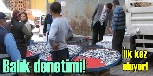 Balık Satışına Denetleme