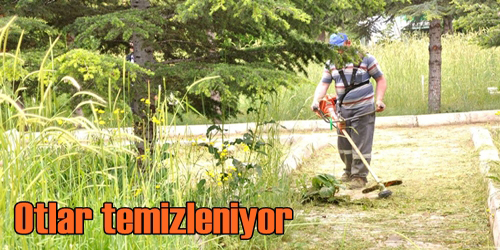 Otlar Temizleniyor