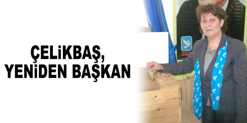 DSP, Çelikbaş İle Devam