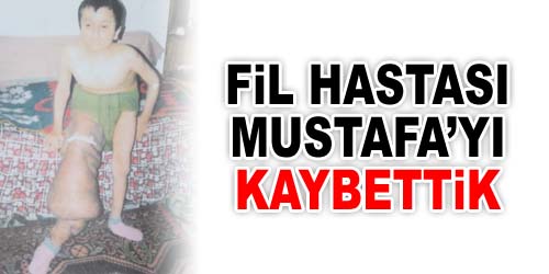 Fil Hastası Mustafa, Artık Yok