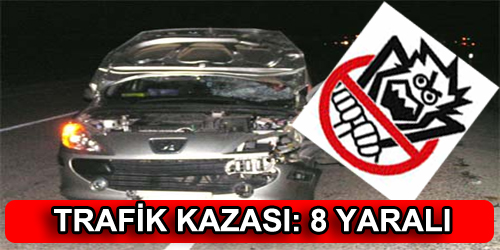 Trafik Kazası: 8 Yaralı