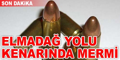 <b>Flaş! </b>Yol Kenarında Mermi Bulundu