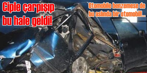 Otomobille Cip Çarpıştı!