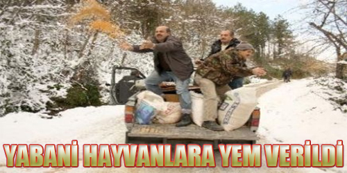 YABANİ HAYVANLARA YEM