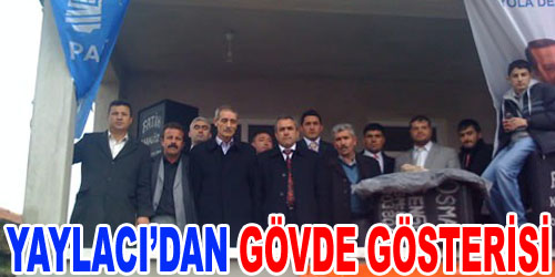 Yaylacı, Çalışmalara Devam Ediyor