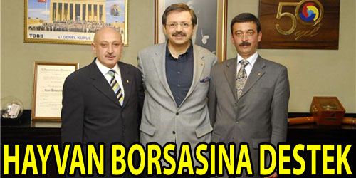 Hayvan Borsasına TOBB Desteği