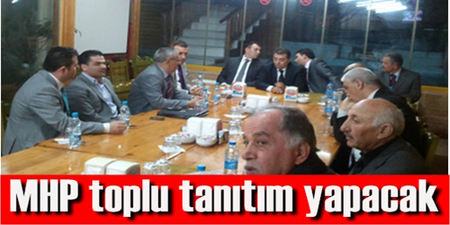 Mhp