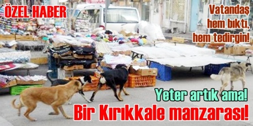 Yeter artık ama!