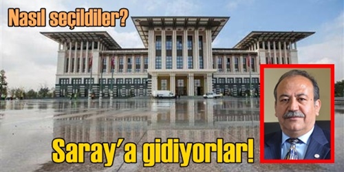 Muhtarlar Saray yolcusu