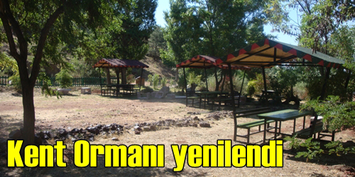 Orman Sizi Bekliyor