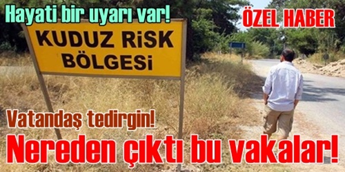 Nereden çıktı bu kuduz vakaları!