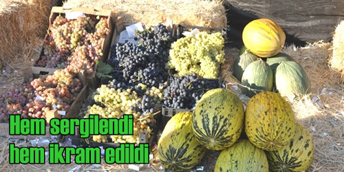  Üzüm Ve Kavunlar Tanıtıldı
