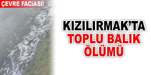Kızılırmak