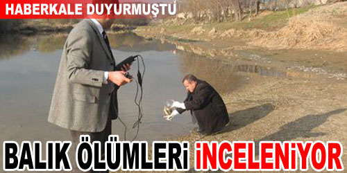 Balık Ölümleri İnceleniyor