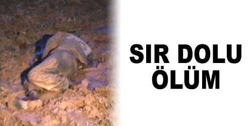 Tarlada Ölü Bulundu