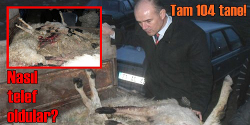 Böylesi İlk Kez Oluyor
