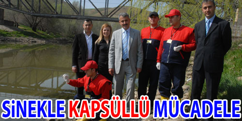 Yahşihan`da Sinekle Mücadele