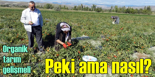 Organik Tarım Artmalı