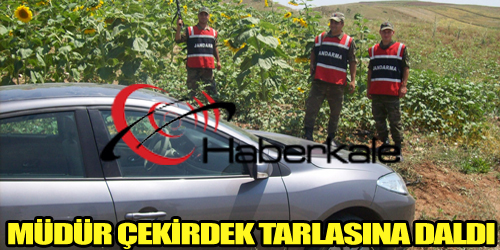 Sarhoş Viraj
