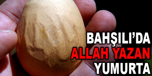 Üzerinde Allah Yazan Yumurta