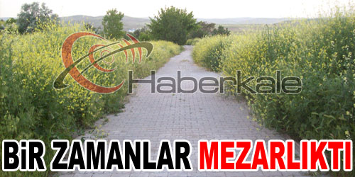 Mezarlığa Giderken Tırpanla Gidin