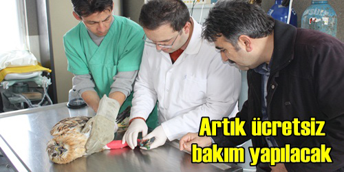 Yaban Hayvanlarına Bakım