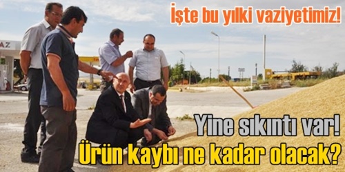 İşte bu yılın acı gerçeği!