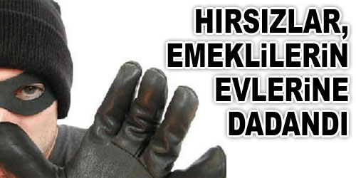 Hırsızların Emekli İlgisi