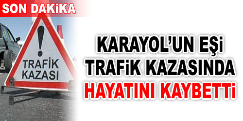 Hayati Karayol ve Eşi Kaza Geçirdi