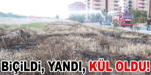 Biçilmiş Otlar Yandı