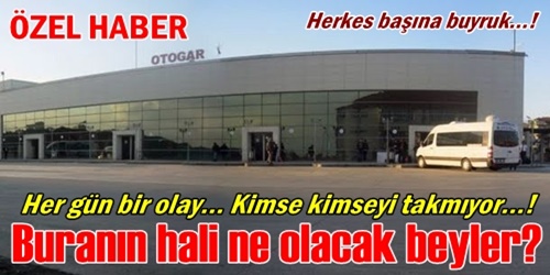 Ne olacak bu terminal beyler?