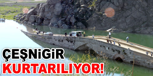 Bir Tarih Kurtarılıyor