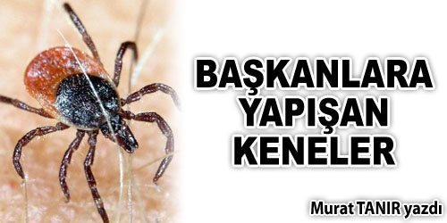 Başkanlar Zor Durumda