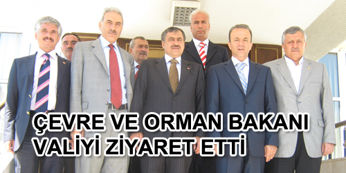 Çevre ve Orman Bakanı Valiyi Ziyaret Etti