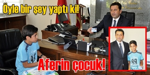 Duyarlı davranış 
