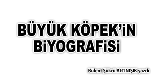 Büyük Köpek`in Biyografisi