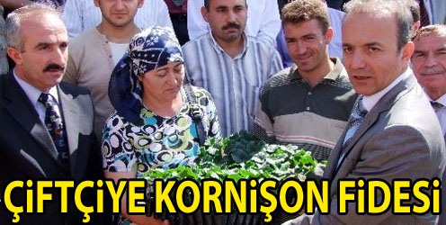Kornişon Ekimine Teşvik