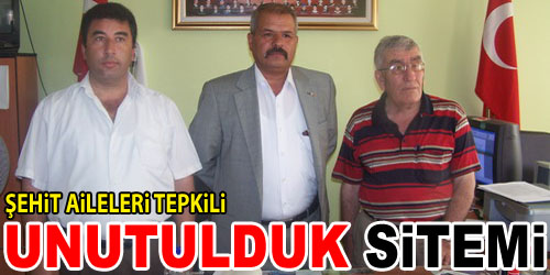 Şehit Ailelerinden Sitem