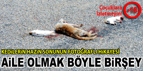 Onları Ölüm de Ayıramadı