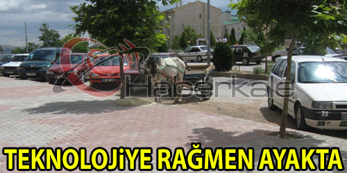 At Arabalarının Son Temsilcilerinden