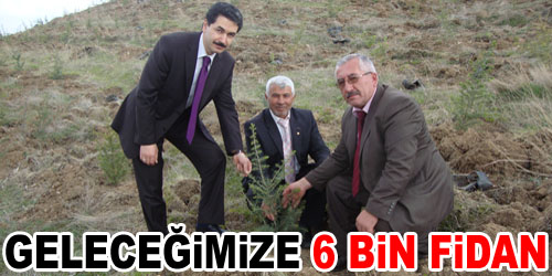 Yahşihan`da Kutlu Doğum Ormanı