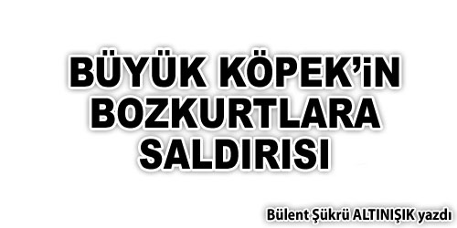 Büyük Köpek`ten Bozkurtlara Saldırı