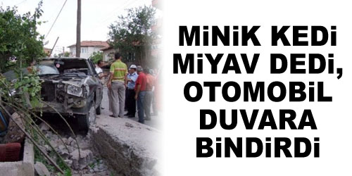 Minik Kedi, Kazaya Sebep Oldu
