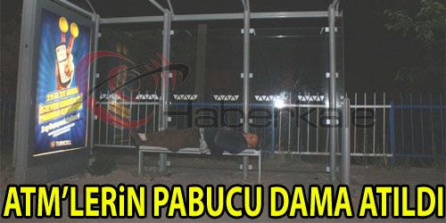 Evsizlerin Yeni Meskeni